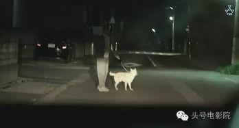 白昼之雨在线观看,探寻神秘雨夜中的奇幻之旅 第3张 白昼之雨在线观看,探寻神秘雨夜中的奇幻之旅 第3张